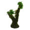 Zwergspeerblatt - Anubias barteri var. nana auf Kunststoffbaum ca. 20 cm
