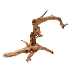 Aquarienwurzel Spiderwood 20-30 cm zum Aufbinden von Moosen
