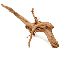Aquarienwurzel Spiderwood 20-30 cm zum Aufbinden von Moosen