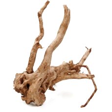 Aquarienwurzel Spiderwood 30-40 cm gewaschen und entrindet