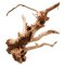 Aquarienwurzel Spiderwood 30-40 cm gewaschen und entrindet