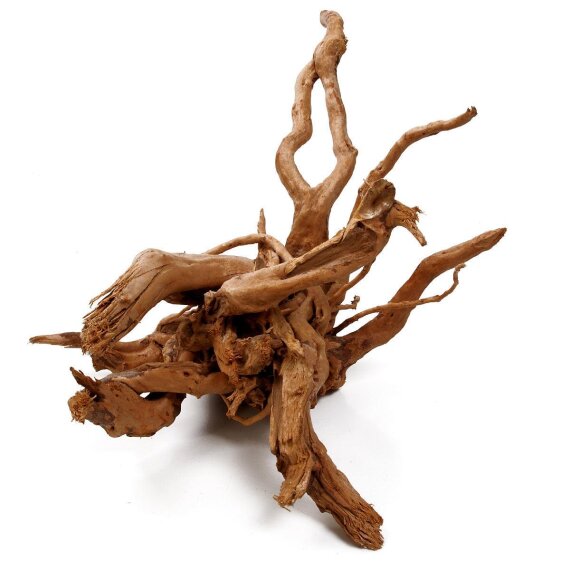 Aquarienwurzel Spiderwood 40-50 cm entrindet für größere Aquarien