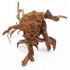 Aquarienwurzel Spiderwood 40-50 cm entrindet für größere Aquarien