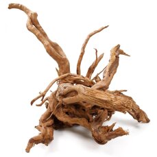 Aquarienwurzel Spiderwood 40-50 cm entrindet für größere Aquarien