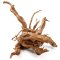Aquarienwurzel Spiderwood 40-50 cm entrindet für größere Aquarien