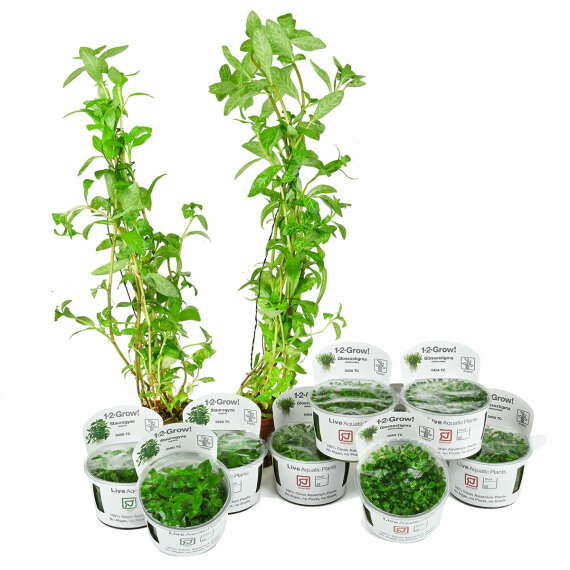 1-2-Grow Set von Tropica für 30 Liter Nano-Aquarium Layout 09