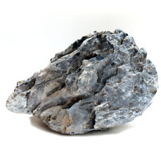 Mini-Landschaft Seiryu Ryuoh 0,8-1,2 kg