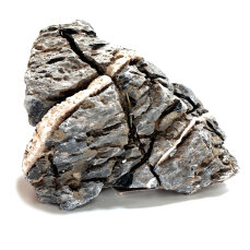 Mini-Landschaft Seiryu Ryuoh 0,8-1,2 kg