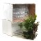 Pflanzenbox XL - 22 Töpfe  Aquarienpflanzen + Mutterpflanze
