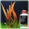 EasyCarbo 250 ml CO2-Dünger für Aquarien