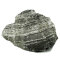 Leopardenstein - Sedimentgestein 2,3-2,7 kg, Aquariensteine