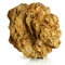 Drachenstein für Aquarien 4,5-5,5 kg, Aquariendeko, Aquascaping