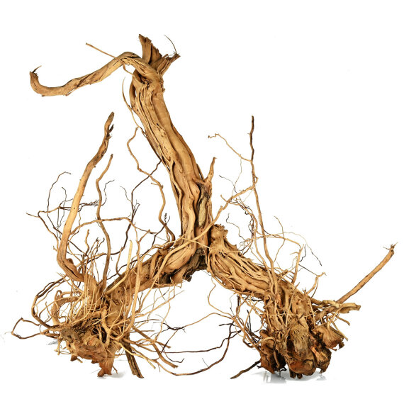Aquadeco Curl Wood - Einzigartige Optik M, 60-80 cm, Aquariumwurzel