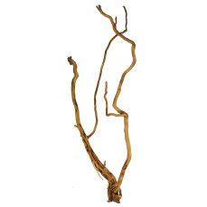 Aquadeco Curl Wood - Einzigartige Optik M, 60-80 cm