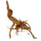 Aquadeco Curl Wood - Einzigartige Optik S 30 - 59 cm, Aquariumwurzel