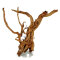 Aquadeco Curl Wood - Einzigartige Optik S 30 - 59 cm, Aquariumwurzel