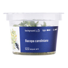Bacopa caroliniana in-vitro