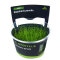 Eleocharis parvula -Teppich-Nadelsimse InVitro Pflanze
