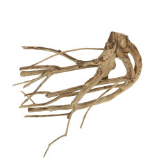 Talawa Holz - M, 30-45 cm