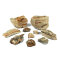 Helle Pagode für 100cm Aquarium Set - Canyons im Aquarium