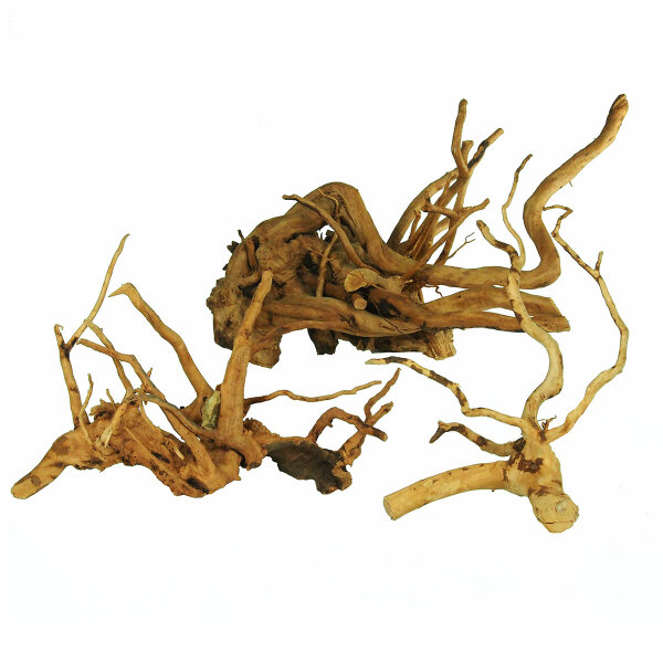 Corbo-Wurzel, Aquariumwurzel mit Huminsäure abgabe verschiedene Größe