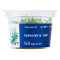 Hydrocotyle sp. ’Japan’ - InVitro