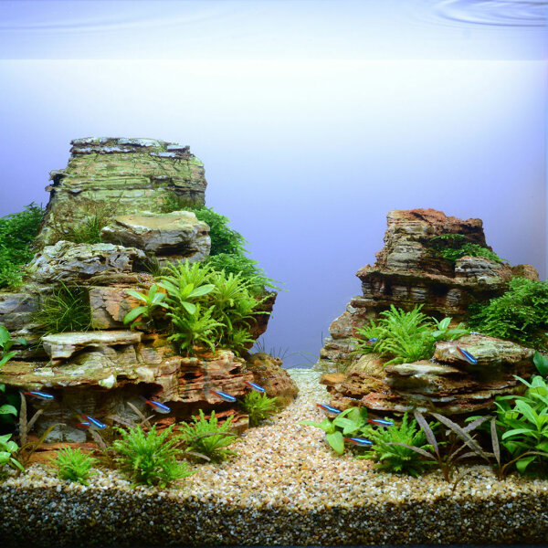 Aquariumlayout 103 von Tropica für ein 28 l Aquarium