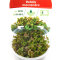 Rotala macrandra, intensive Farbe