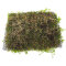 Micranthemum Monte Carlo Perlenkraut auf Gitter 16 x 11 cm