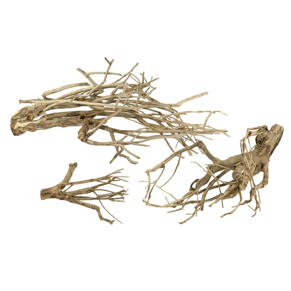 Talawa-Holz verschiedene Größen - Aquarien, Terrarien