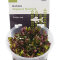 Rotala Singapore blood red -  rote Aquariumpflanze